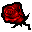red-rose-icon
